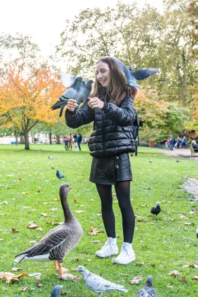 Cheerful Teenage Girl on Sunny Autumn Day Playing with Pigeons and Duck in St.James Park in London, UK