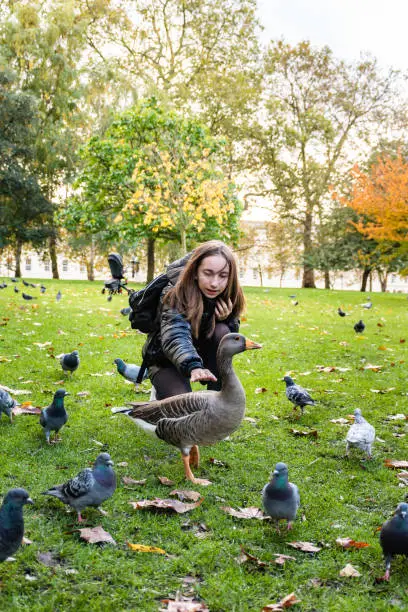 Cheerful Teenage Girl on Sunny Autumn Day Playing with Pigeons and Duck in St.James Park in London, UK