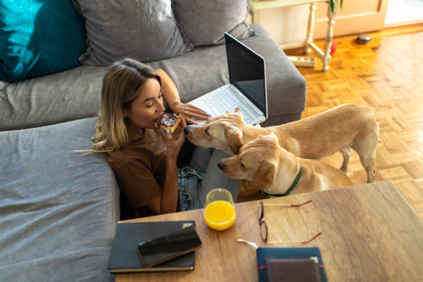 istock Beautiful young at home with her two dogs, taking a break from work 1795258058