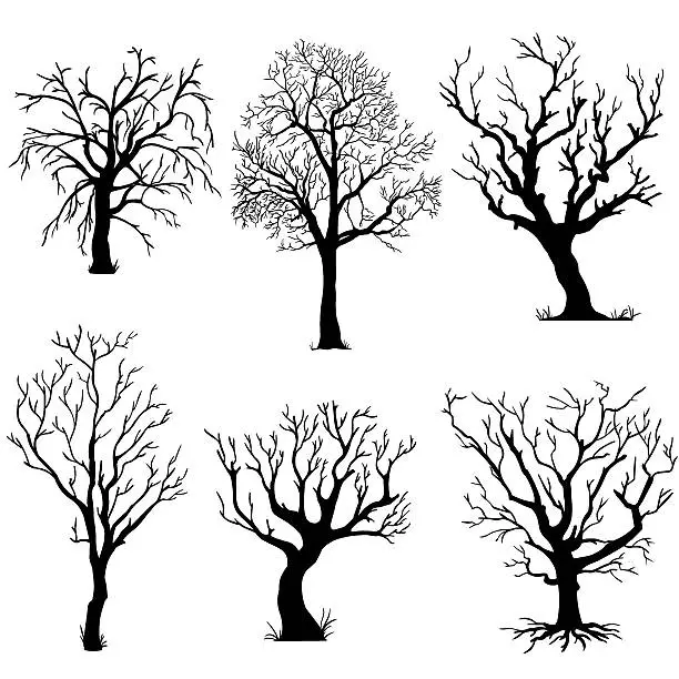 Vector illustration of vector set of silhouettes trees