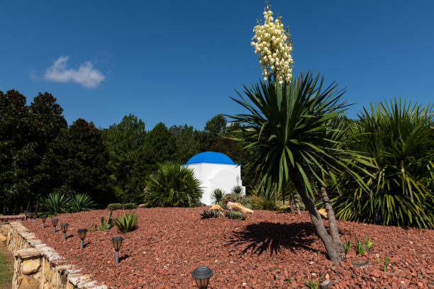 old vintage windmill and a cactus in Sissi on Crete in Greece