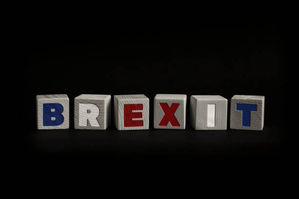 istock Word BREXIT written with wooden cubes 1795271087