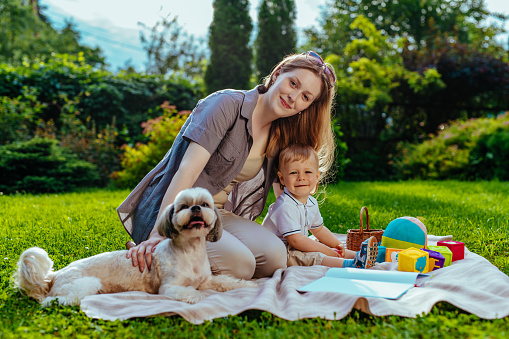 Young mother with one year child and dog sitting in park at summer
