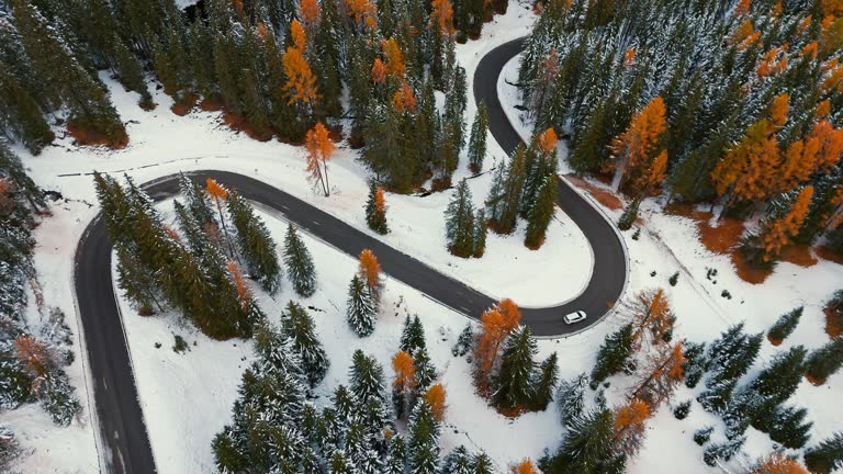 AERIAL Drone Shot of Car Driving on Asphalt Road Through Autumn Larch Forest in Snowy Dolomites