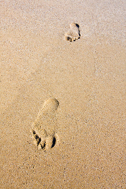 istock footsteps at sunset time on the beach 179529373