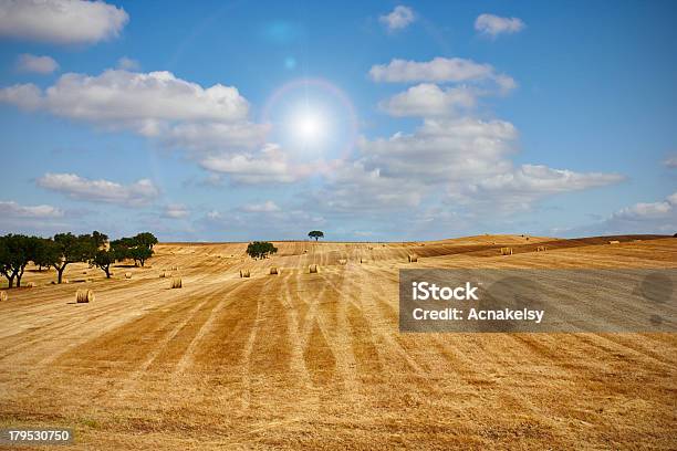 Пшеница Сена Пейзаж — стоковые фотографии и другие картинки Возвышенность - Возвышенность, Выращиваемый, Горизонтальный