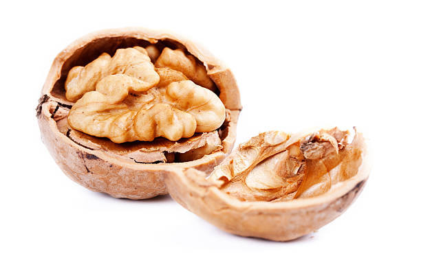 istock closeup of a walnut 179531318