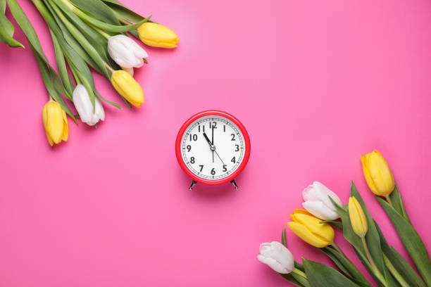 istock Red alarm clock and beautiful tulips on pink background, flat lay. Spring time 1795337427