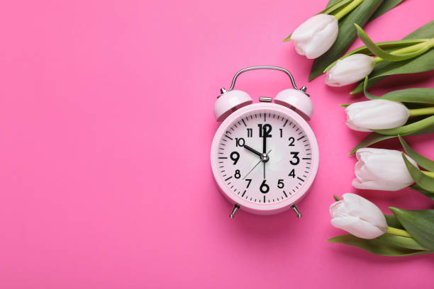 istock Alarm clock and beautiful tulips on pink background, flat lay with space for text. Spring time 1795338519