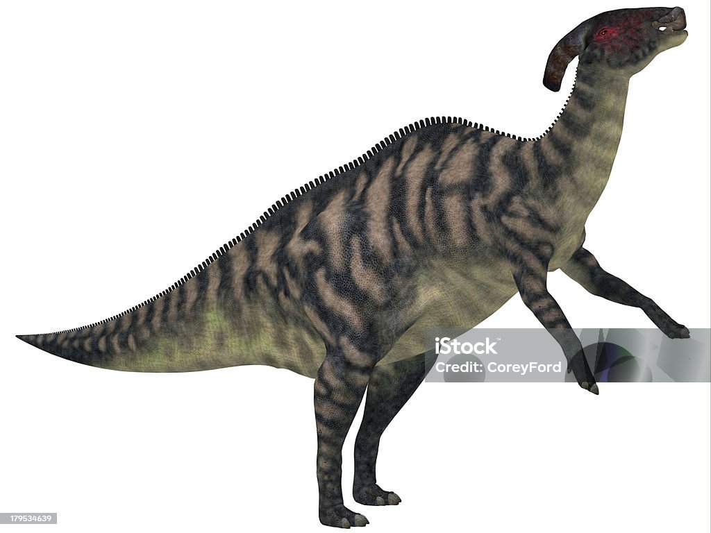 Parasaurolophus listrado em branco - Royalty-free Parassaurolofo Foto de stock