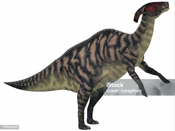 Parasaurolophus Listrado Em Branco - Fotografias de stock e mais imagens de Parassaurolofo - Parassaurolofo, Fundo Branco, Animal