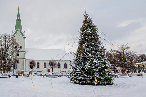 Decorated Christmas tree in a town square with a church in the background, Dobele, Latvia