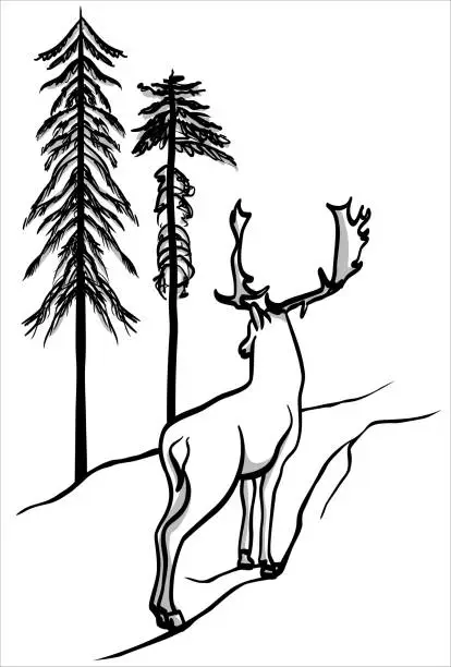 Vector illustration of Majestic Fallow Deer