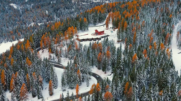 AERIAL Drone Shot of Winding Road and Ski Resort Amidst Beautiful Larch Forest in Snowy Dolomites