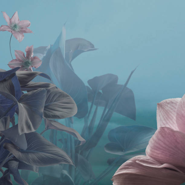 istock surreal fairy nature background 1795357042