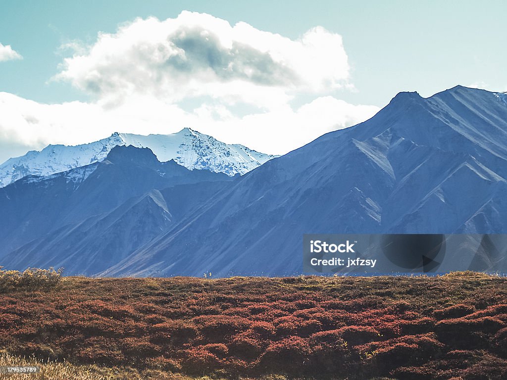 Parque nacional Denali - Foto de stock de Aire libre libre de derechos