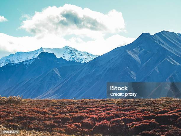 Parque Nacional Denali Foto de stock y más banco de imágenes de Aire libre - Aire libre, Alaska - Estado de los EE. UU., Alto - Descripción física