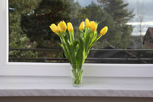 Wonderful tulips on window sill indoors. Spring atmosphere