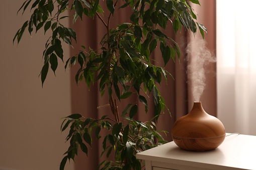 Air humidifier near houseplant on white table indoors