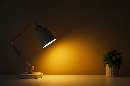 Stylish modern desk lamp and potted plant on table near wall in dark room