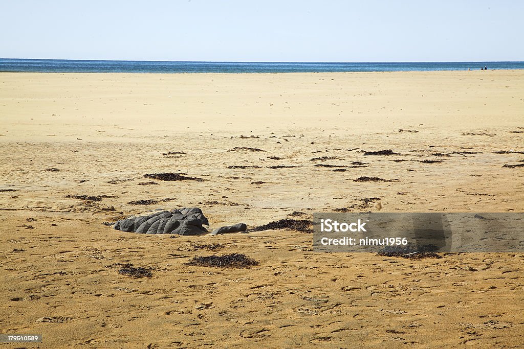 Raudasandur (sabbia rossa) sulla spiaggia in Westfjords.  Islanda. - Foto stock royalty-free di Acqua