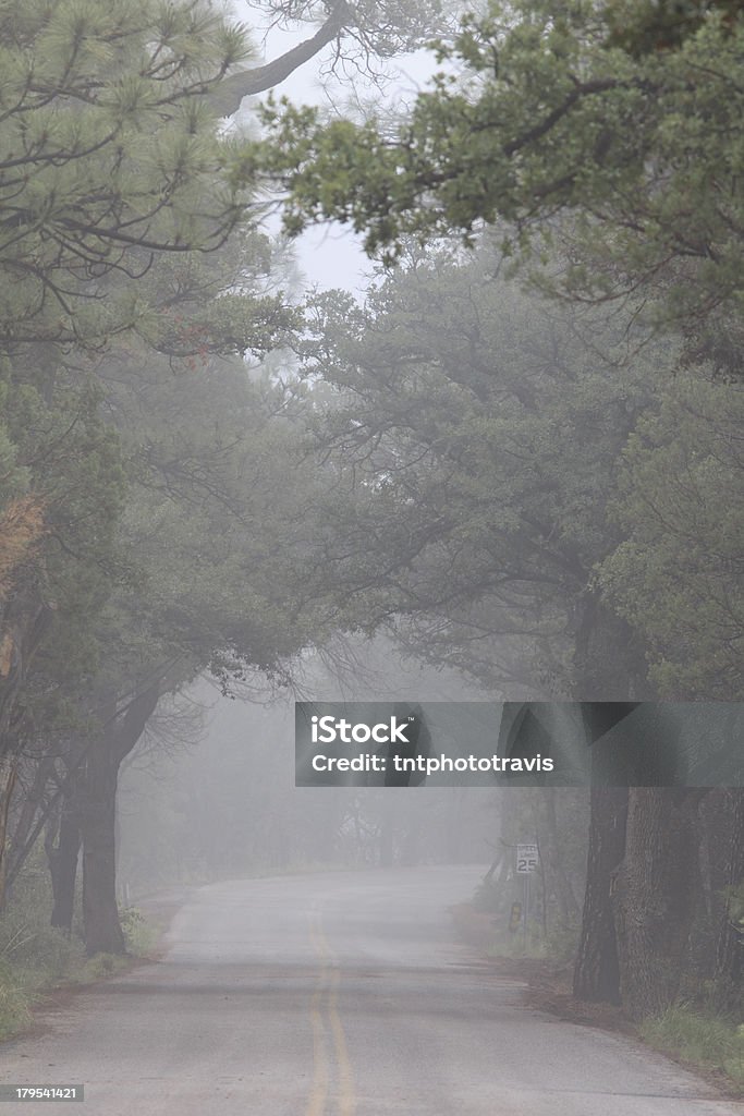Foggy Road - Foto de stock de Amarelo royalty-free