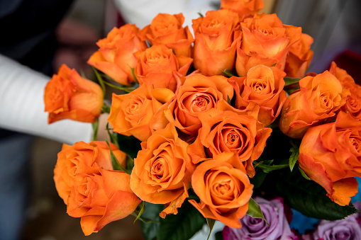 Florist holding Bouquet of Roses in Orange color. close up.