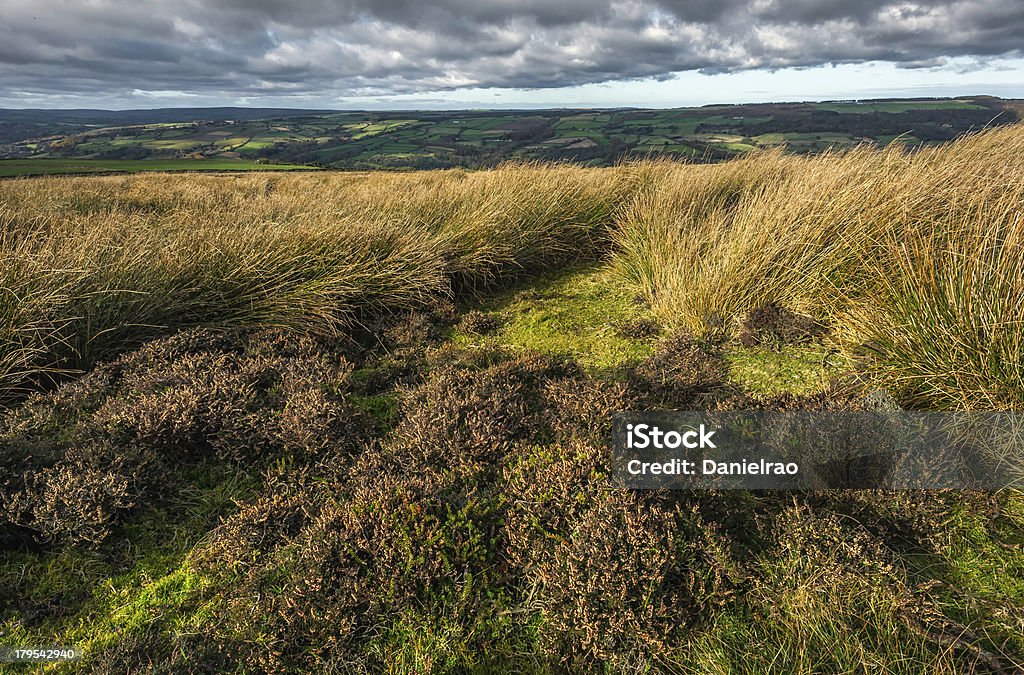 Windswept North York Moors, Grosmont, en Yorkshire, Reino Unido. - Foto de stock de Aire libre libre de derechos