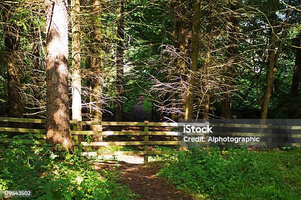 Valla De Cumbria Foto de stock y más banco de imágenes de Aire libre - Aire libre, Belleza, Camino