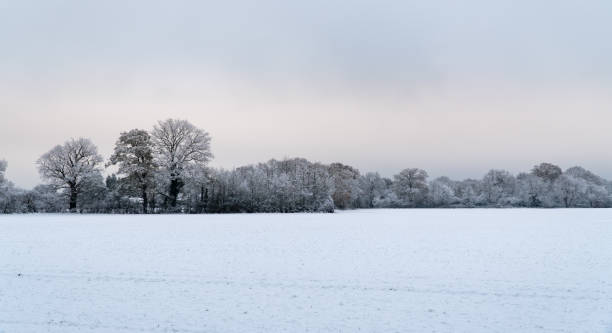 istock Snowy English Countryside 1795437060
