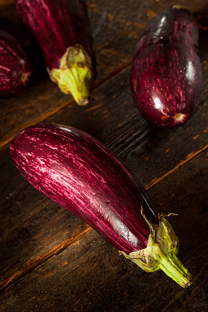 istock Ripe Organic Purple Eggplant 179543767
