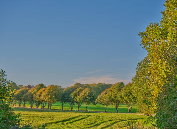 Photo of farmland & countryside in late summer early autumn made by Medium Format camera