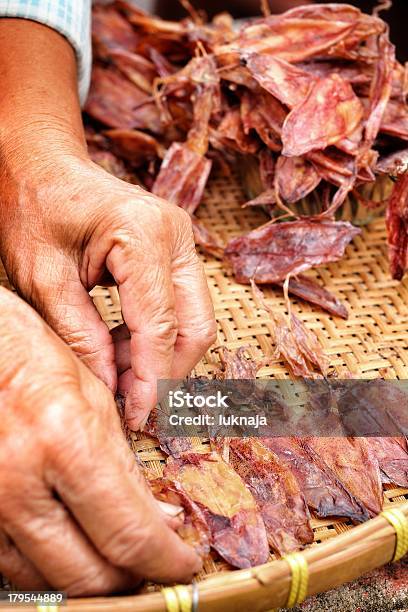 Lula Seco - Fotografias de stock e mais imagens de Animal - Animal, Ao Ar Livre, Castanho