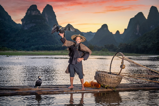 Traditional cormorant fisherman with bamboo hat on his wooden fishing raft with two cormorants happy showing of his birds on Li river near Xingping, Guangxi province, China.