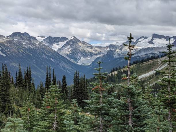 Majestic - Whistler and Blackcomb
