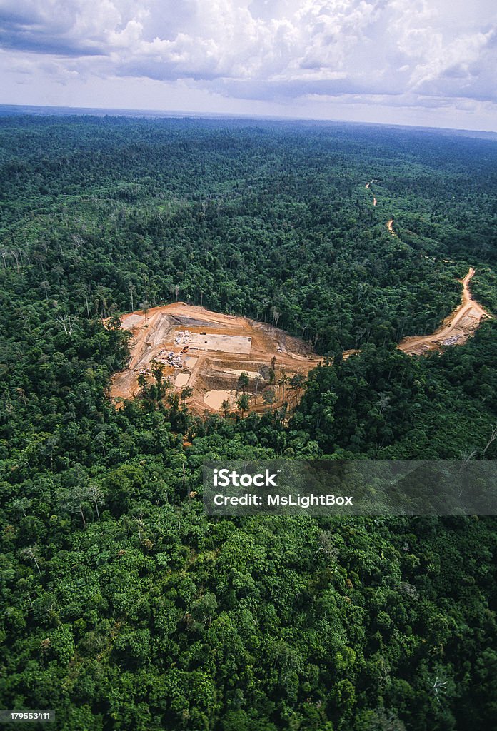 Industrie du pétrole. - Photo de Déforestation libre de droits