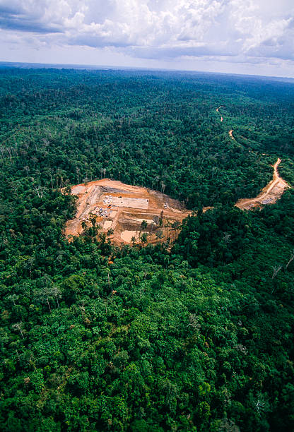 przemysł naftowy. - aerial view lumber industry oil tropical rainforest zdjęcia i obrazy z banku zdjęć