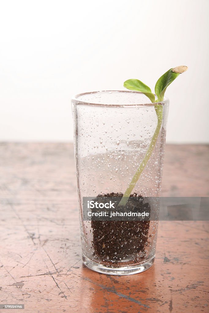 Abóbora broto verde no copo na mesa de madeira vertical - Foto de stock de Abrindo royalty-free