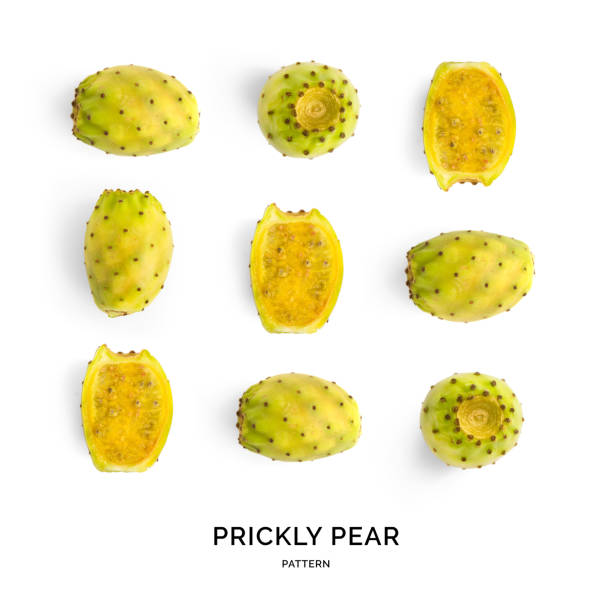 Seamless pattern with prickly pear fruit. Tropical abstract background. Prickly pear fruit on the white background. Seamless pattern with prickly pear fruit. Tropical abstract background. Prickly pear fruit on the white background. nopal fruit stock pictures, royalty-free photos & images