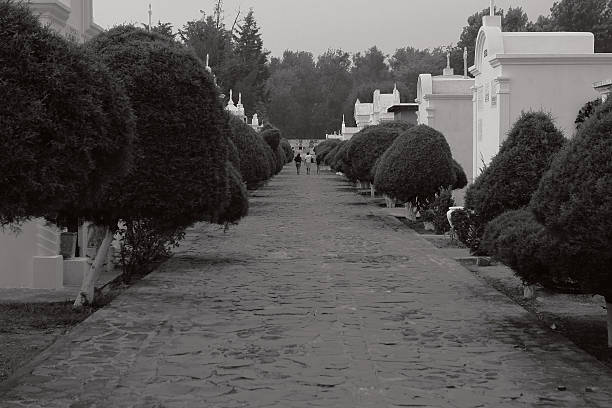 istock Cemetery in Antigua, Guatemala 179555666