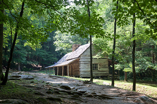 istock Log cabin farmhouse in the woods 179556226