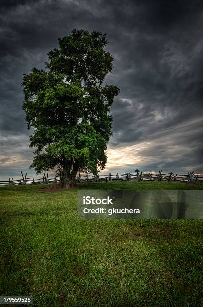 Baum Auf Bloody Lane Stockfoto und mehr Bilder von Abgeschiedenheit - Abgeschiedenheit, Baum, Bürgerkrieg