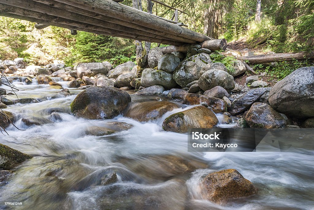 Ruscello nella foresta - Foto stock royalty-free di Acqua