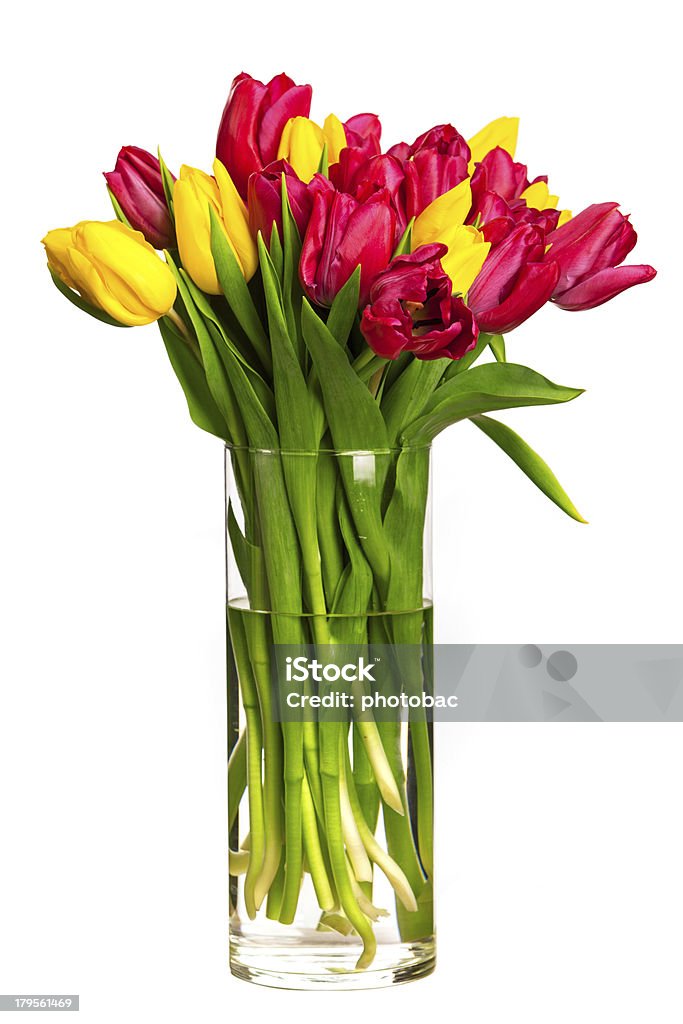 Strauß Tulpen auf Weiß - Lizenzfrei Baumblüte Stock-Foto