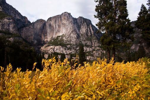 The el capitan and its grouond at Yosemite National Park
