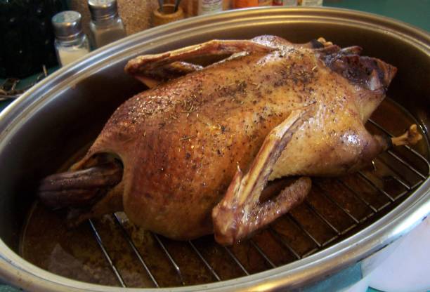 istock Roast stuffed duck in the pan 1795629366