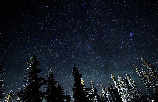 Thousands of stars shine in the night sky of interior Alaska.