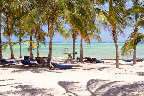 istock Chairs and green trees on a white sand beach 179566222