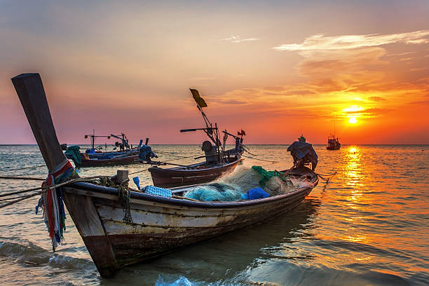 istock Boat near the beach at sunset 179567032