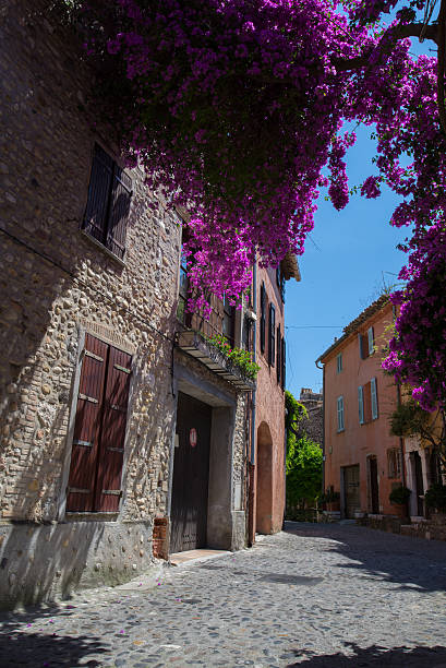 istock Flowers in the street 179567171